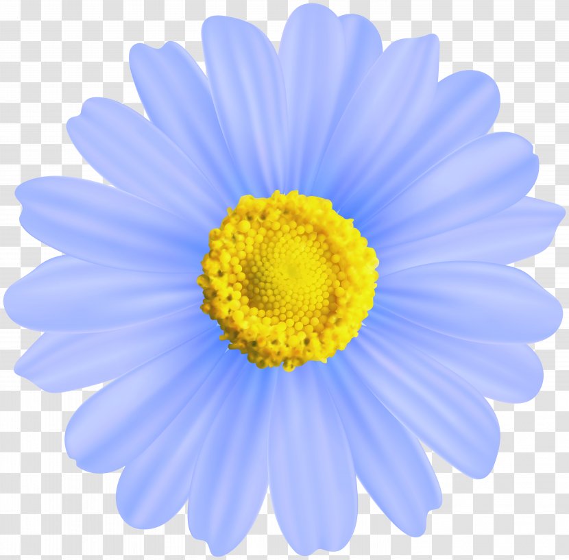 Chamomile Clip Art - Daisy - Blue Flower Transparent Transparent PNG