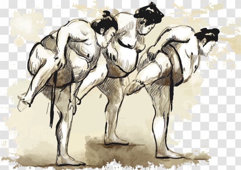 Sumo Wrestling Stock Photography Illustration - Royaltyfree - Material Transparent PNG