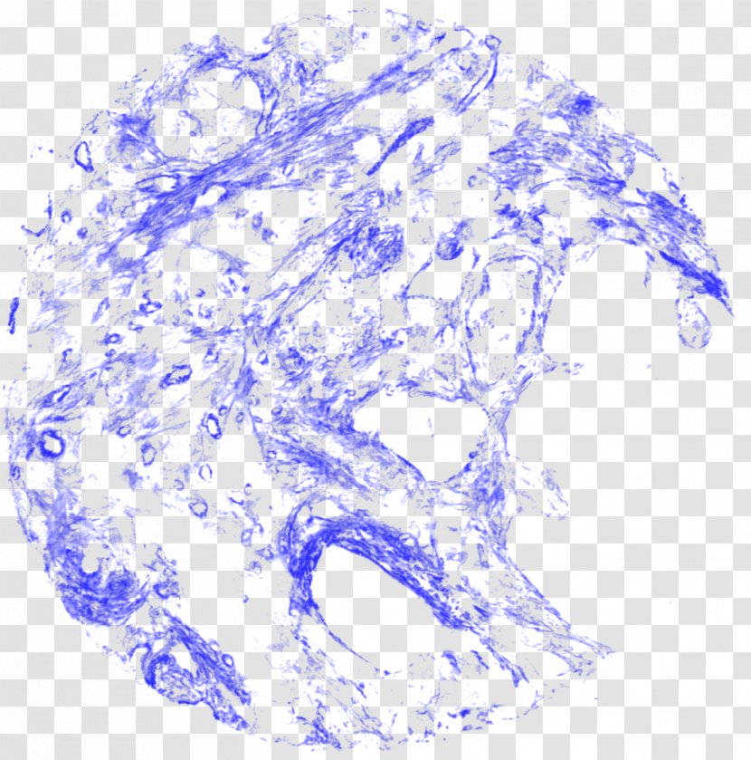 /m/02j71 Earth Drawing Water - Flower Transparent PNG