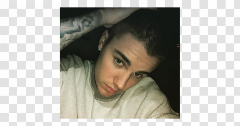 Justin Bieber Hairstyle Buzz Cut Celebrity Dreadlocks - Flower Transparent PNG