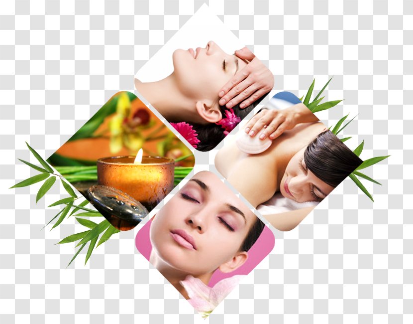 Beauty Parlour Day Spa Massage - Hair Care - Sorina Ceugea Transparent PNG