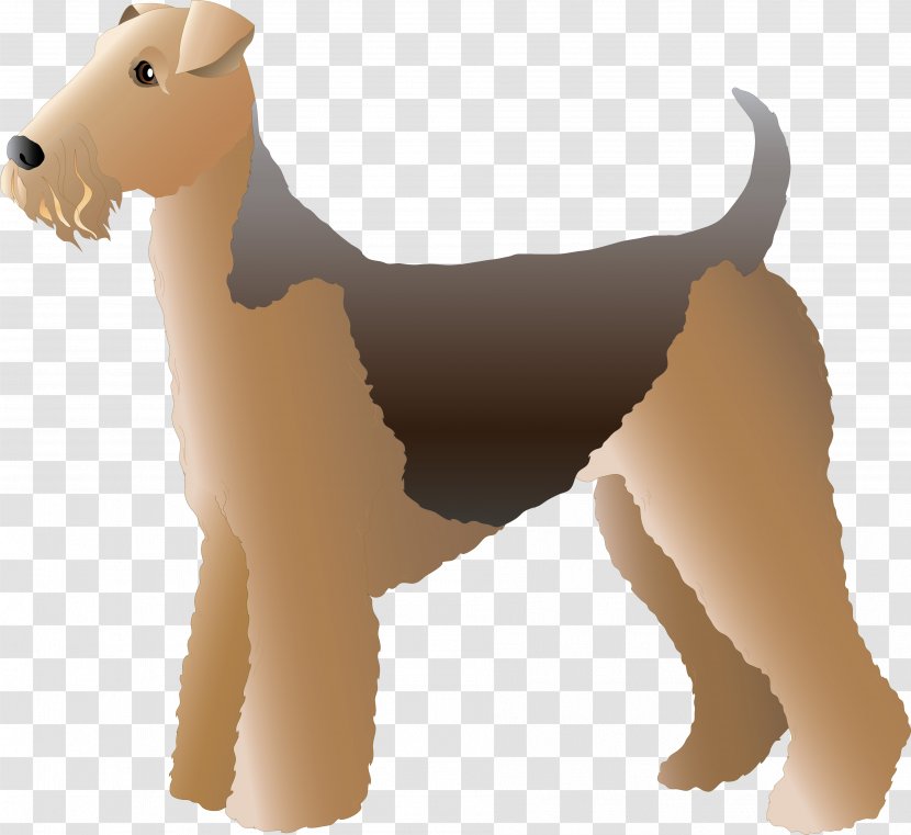 Dog - Tail - Non Sporting Group Transparent PNG