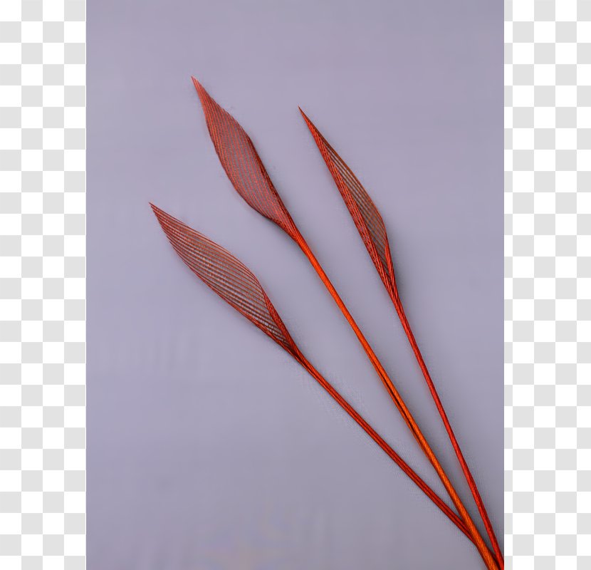 Feather - Quill Transparent PNG