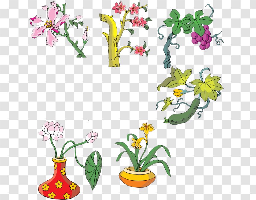 Floral Design Flower Clip Art - Pollinator - Cucumber Flowers Transparent PNG