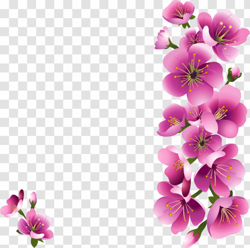 Flower Floral Design - Flowering Plant Transparent PNG