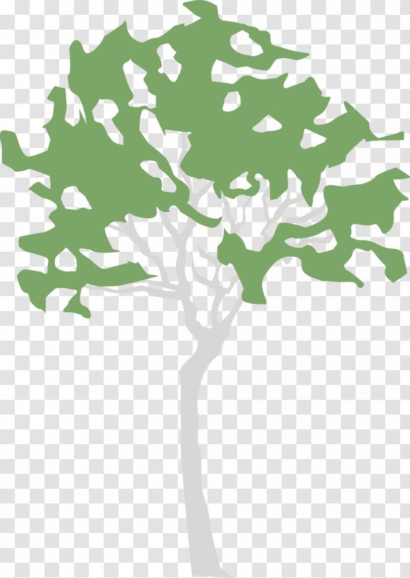 Clip Art Illustration Green Leaf Plant Stem - Tree Transparent PNG