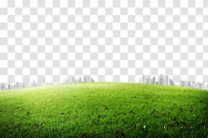 Grasses Icon - Football Pitch - Meadow Transparent PNG