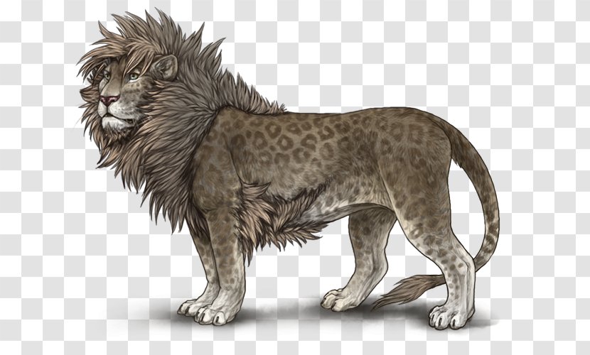 Lion Wiki Clip Art - Am Consolidated High School Transparent PNG