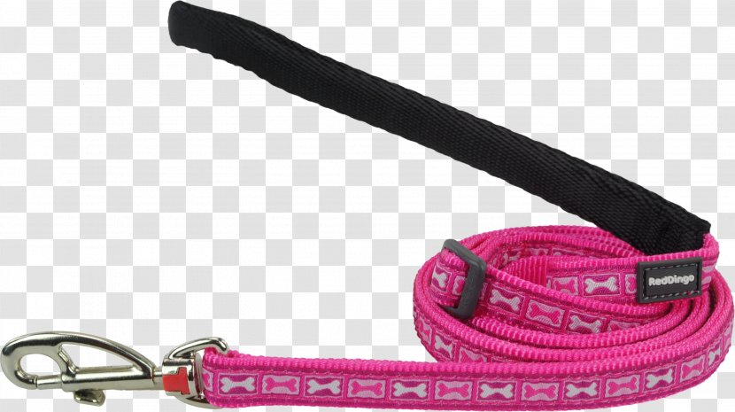 Leash Dog Collar Strap Transparent PNG