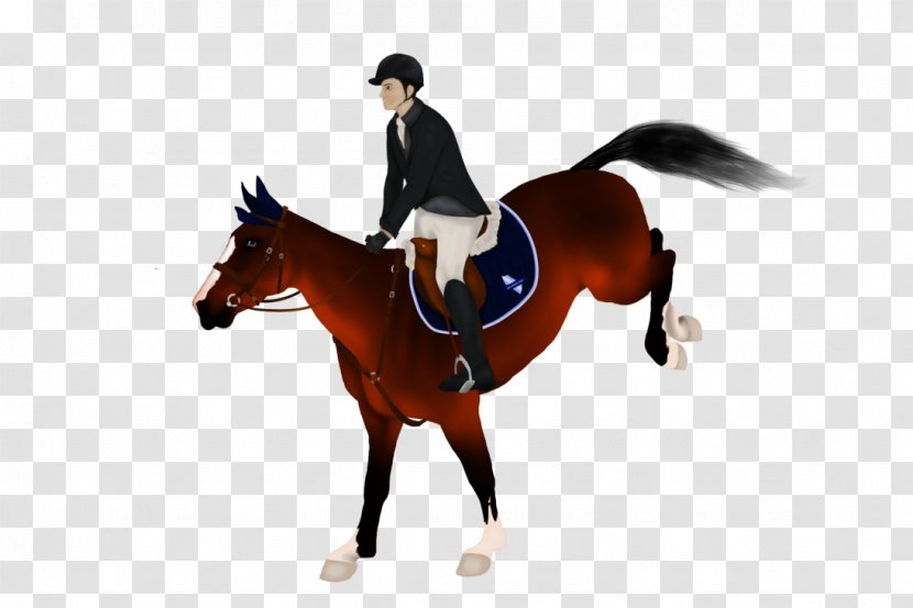 Hunt Seat Equestrian Clip Art - Mare - Horse Rider Transparent PNG