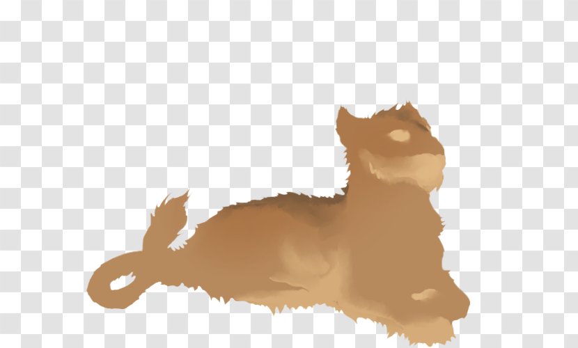 Whiskers Lion Dog Marozi Cat - Carnivoran Transparent PNG