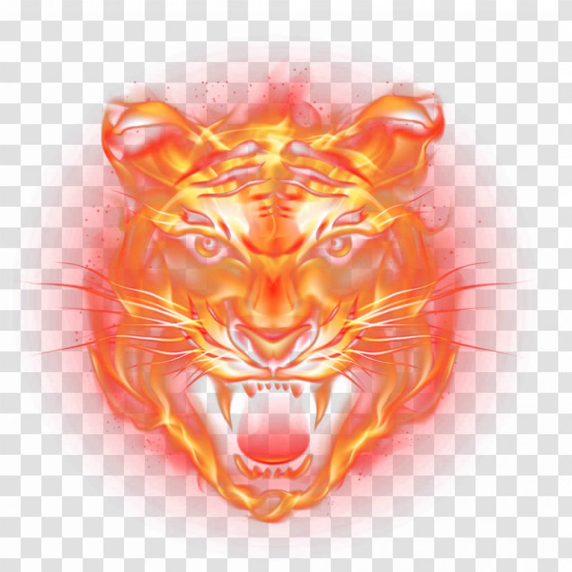 Tiger Fire Flame - Cat Like Mammal Transparent PNG