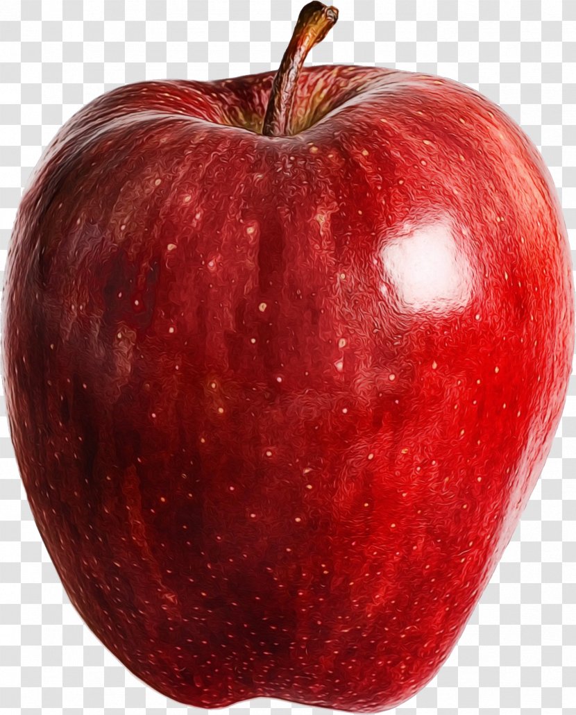 Apple Cartoon - Fruit - Still Life Photography Seedless Transparent PNG