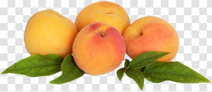 Peach Auglis - Food Transparent PNG