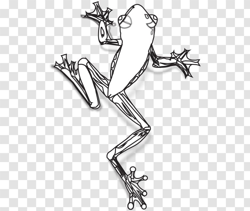 Australian Green Tree Frog Drawing Clip Art - Body Jewelry Transparent PNG