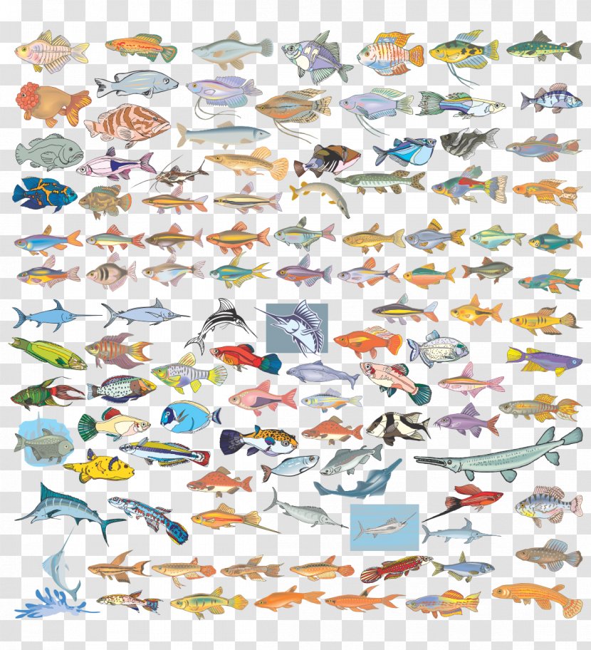 Vector Fish - Point Transparent PNG