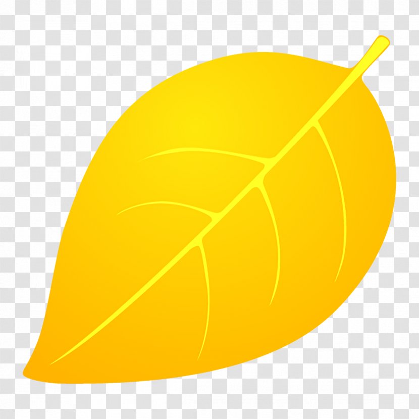 Orange - Fall Leaf - Plant Transparent PNG