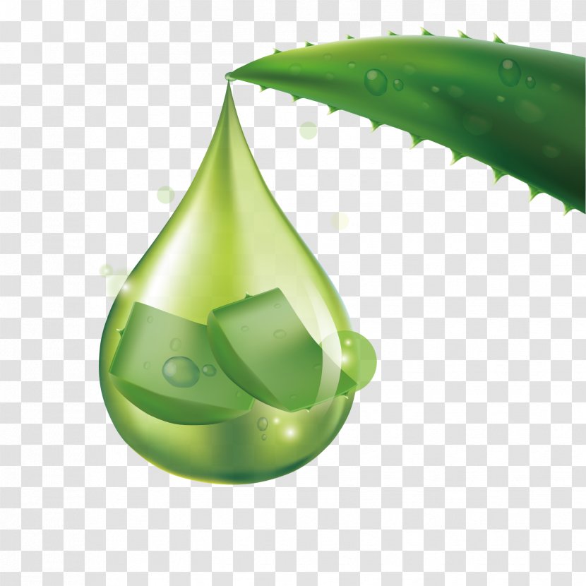 Aloe Vera Euclidean Vector Skin Care Cosmetics - Water - Drop Of Essential Oil Material Transparent PNG