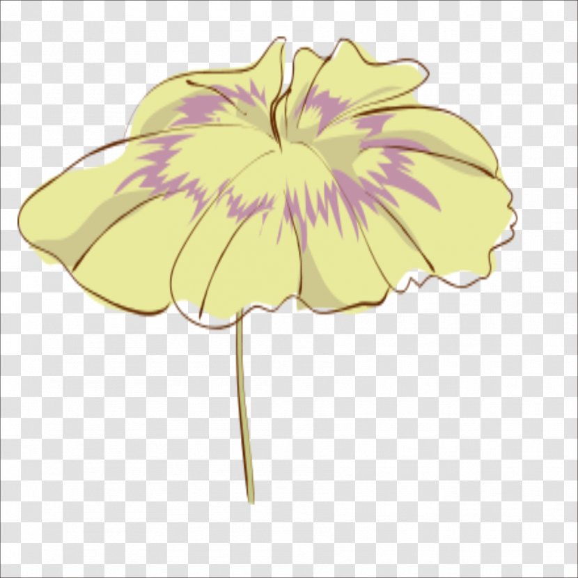 Floral Design Lotus Effect Nelumbo Nucifera - Leaf Transparent PNG