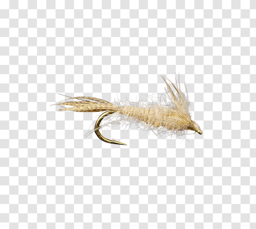 Fly Fishing Rhithrogena Germanica Nymph Holly Flies - Brand - Tying Transparent PNG