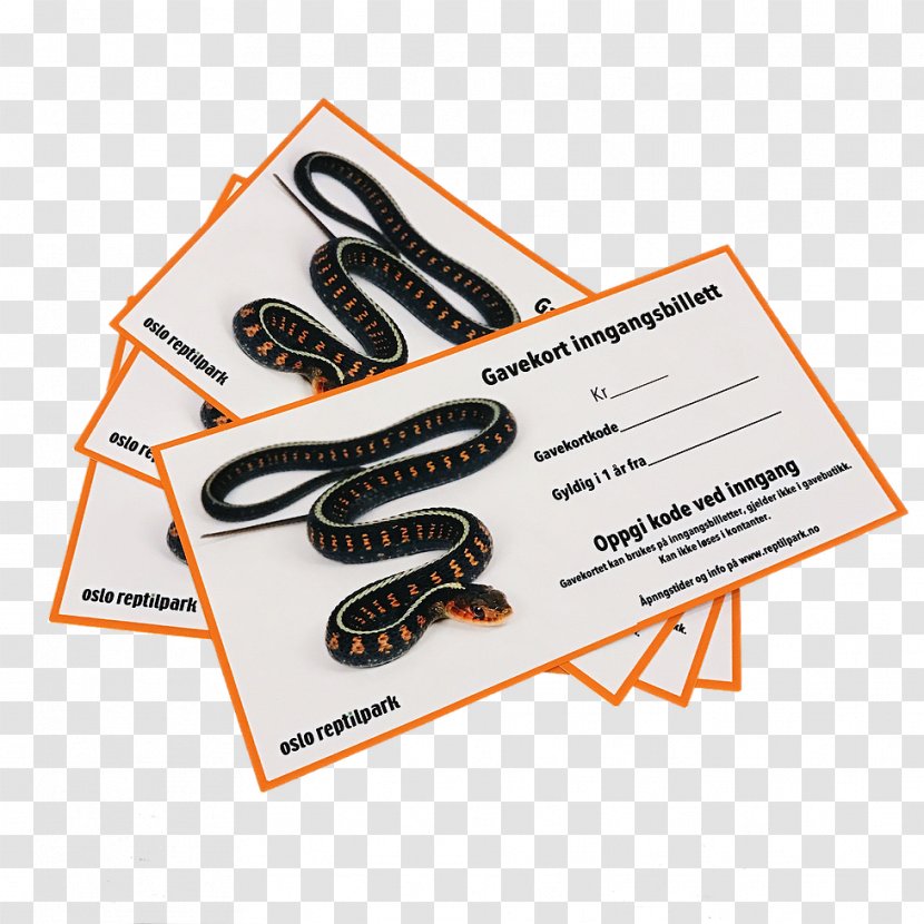 Oslo Reptilpark Gift Card Sentrum Sales - August 31 - Omra Transparent PNG
