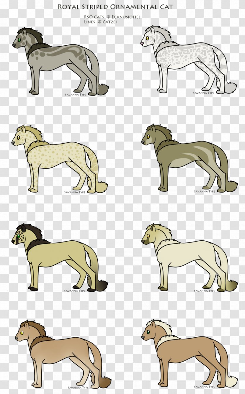 Italian Greyhound Whippet Dog Breed Spanish - Cat - Lion Transparent PNG