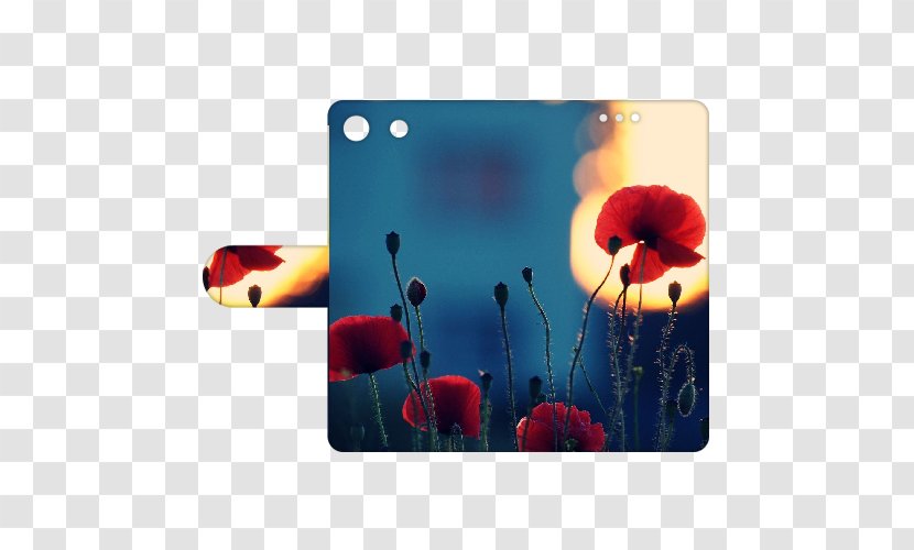 Poppy Desktop Wallpaper Flower Metaphor Radyo Voyage - Remembrance Transparent PNG