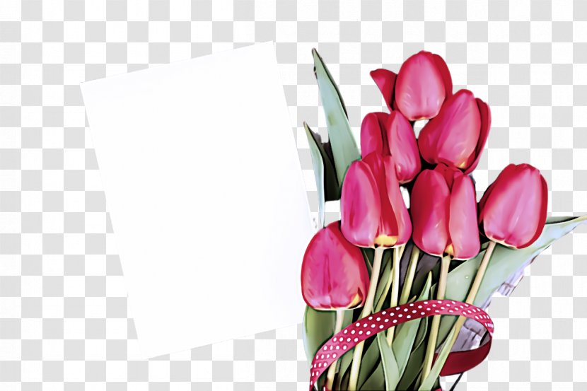 Flower Pink Plant Cut Flowers Tulip - Bouquet Bud Transparent PNG