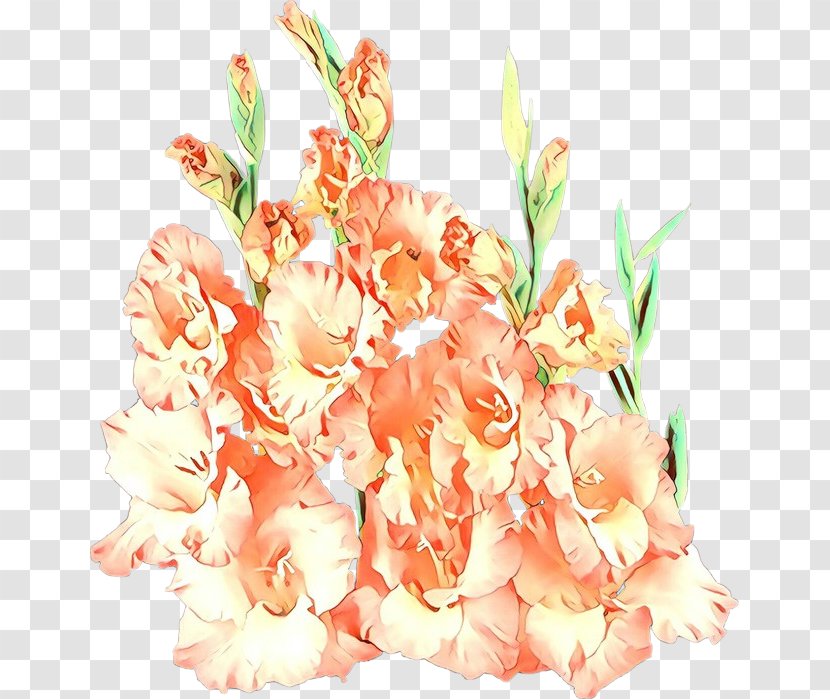 Orange - Petal - Bouquet Transparent PNG