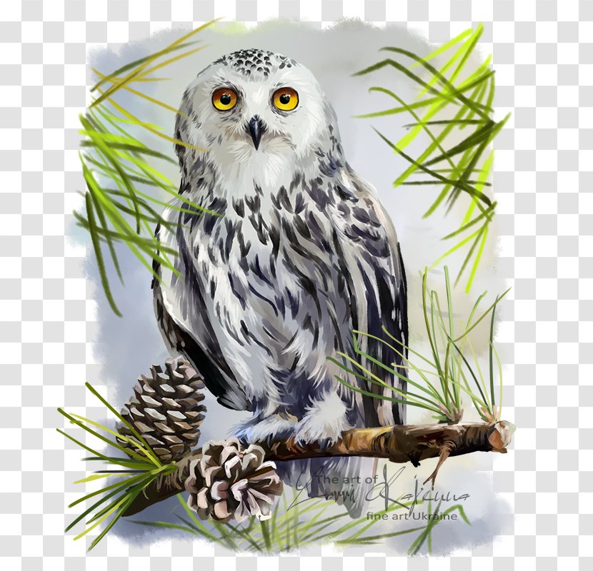 Snowy Owl Bird Great Horned Drawing - Barn - Watercolor Transparent PNG