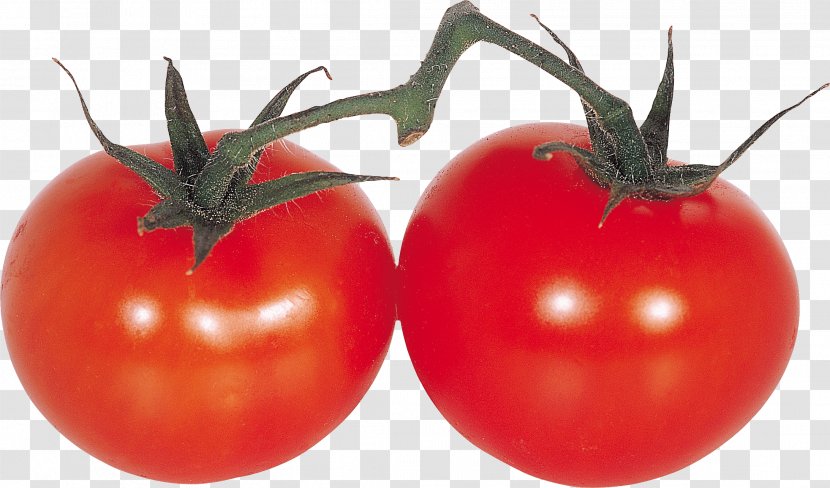 Vegetable Fruit Cherry Tomato - Djvu - Image Transparent PNG