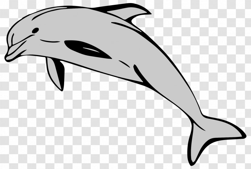 Common Bottlenose Dolphin Short-beaked Clip Art Tucuxi - Dolphins Mascot Transparent PNG