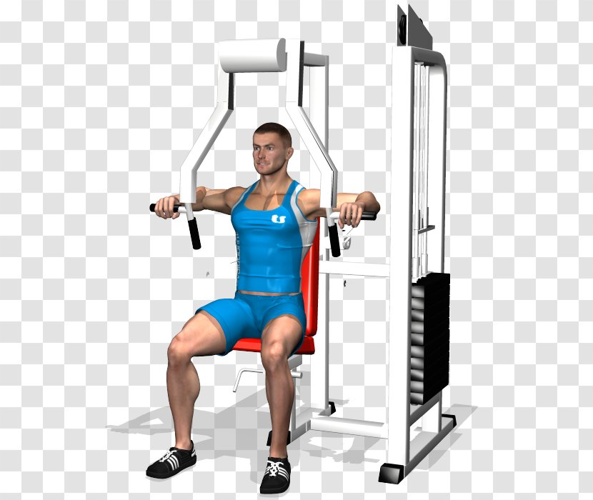 Weight Training Barbell Bench Press Strength - Frame Transparent PNG