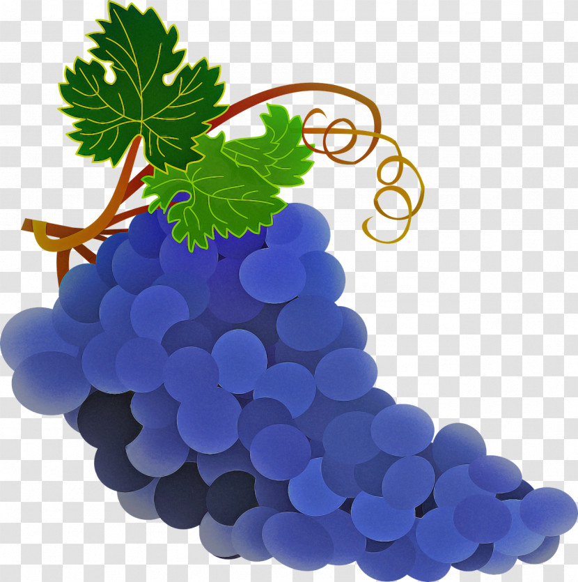 Grape Seedless Fruit Grape Leaves Grapevine Family Fruit Transparent PNG