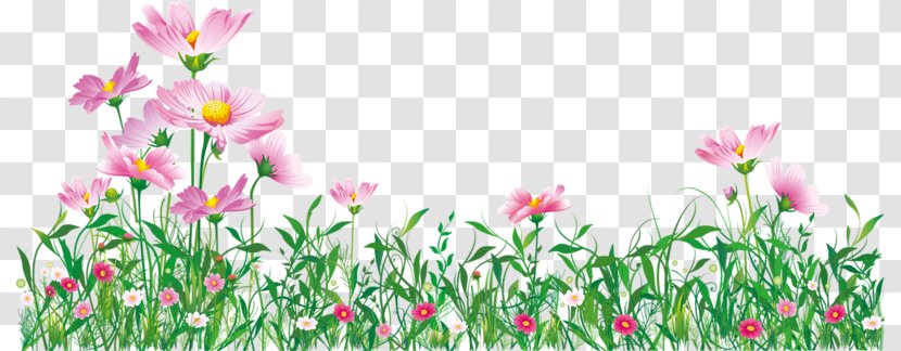 Tulip Image Flower Clip Art - Copyright - Xj Frame Transparent PNG