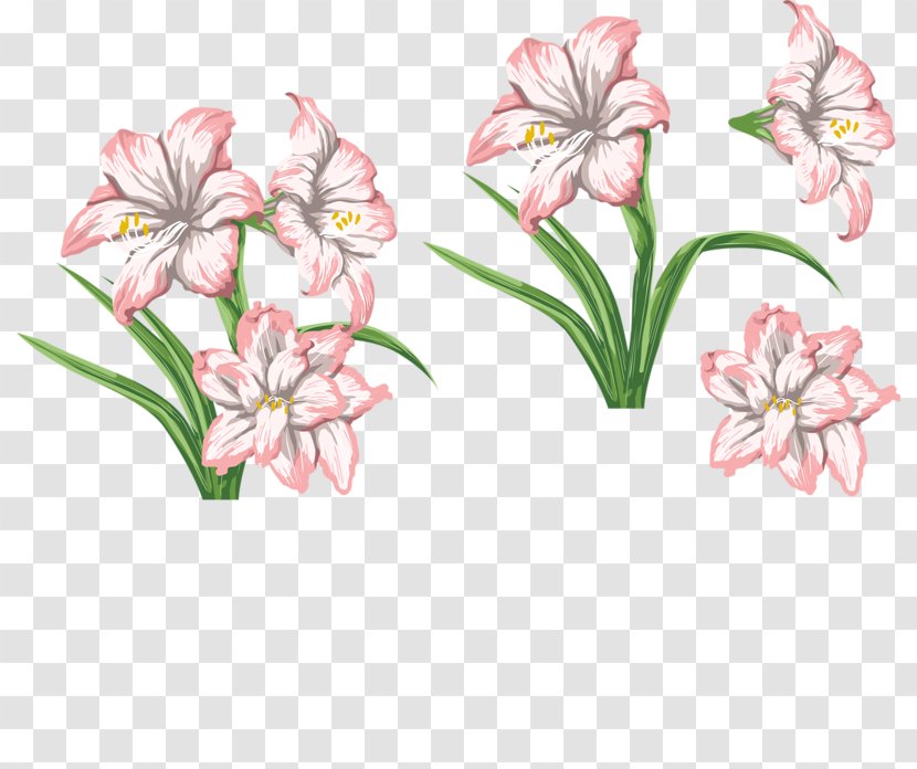 Tiger Lily Flower Floral Design - Floristry - Pink Transparent PNG