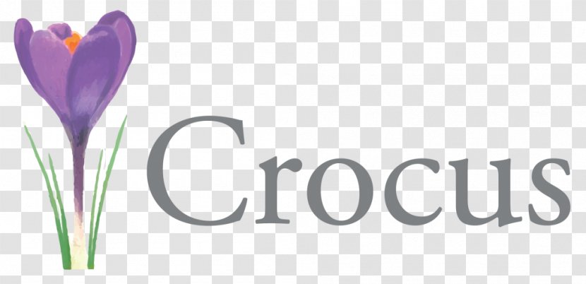 Logo Crocus Cancer Support Centre Brand Flowering Plant - Symbol Transparent PNG