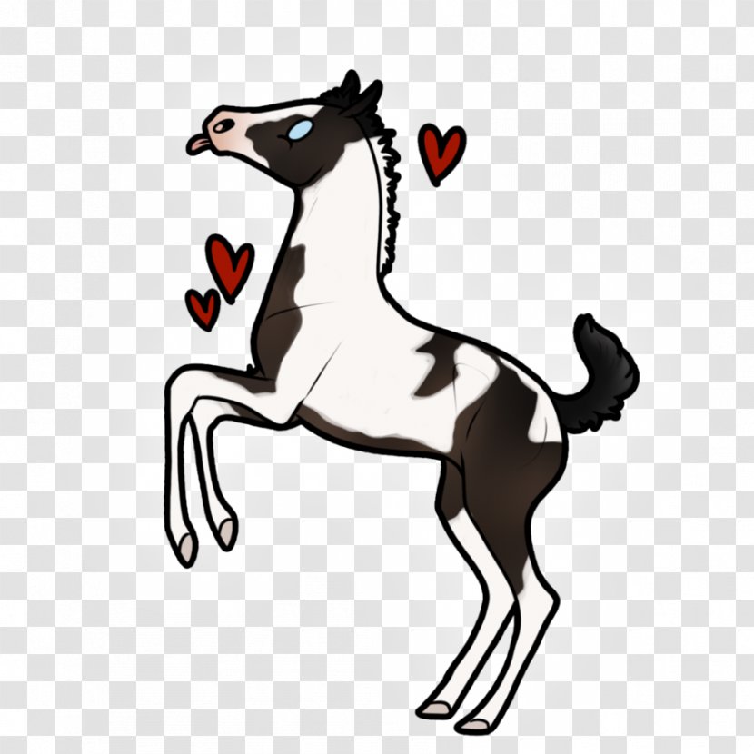 Mustang Foal Pony Stallion Colt - Mammal - Little Miss Transparent PNG