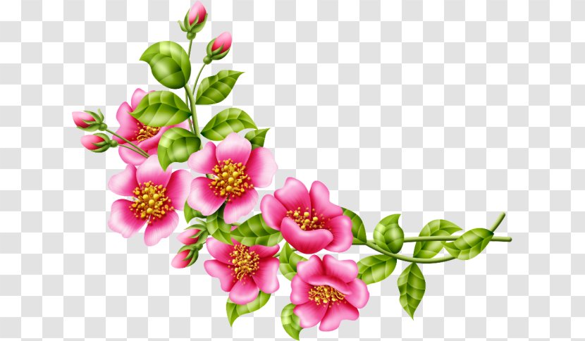 Rose Flower Drawing - Painting - Cherry Blossom Artificial Transparent PNG