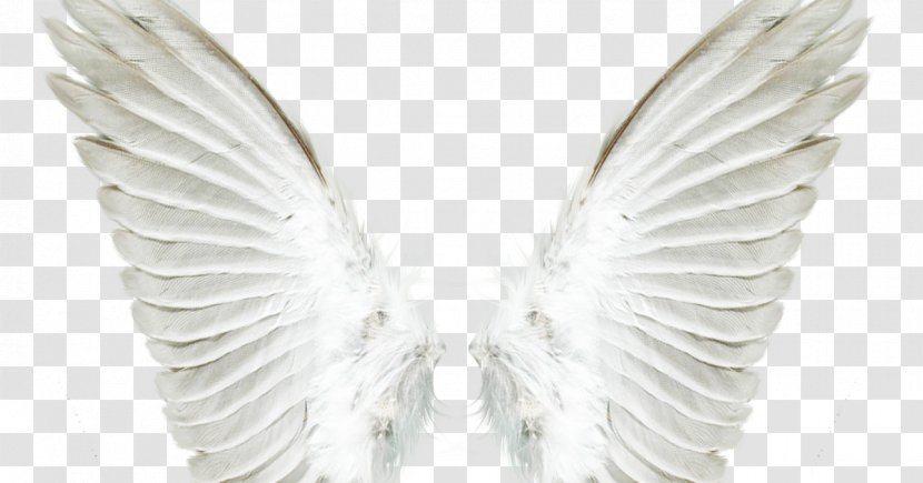 Angel Drawing Clip Art - White Transparent PNG