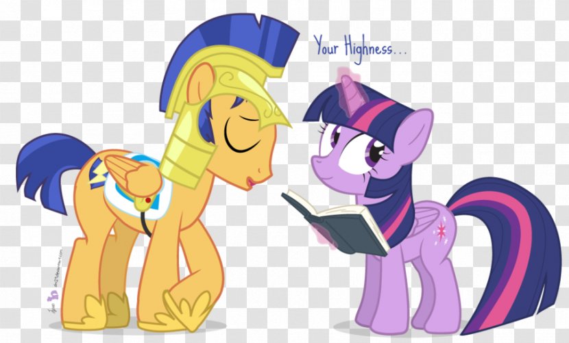 Twilight Sparkle Flash Sentry My Little Pony: Friendship Is Magic - Flower - Pony Season 1 Transparent PNG
