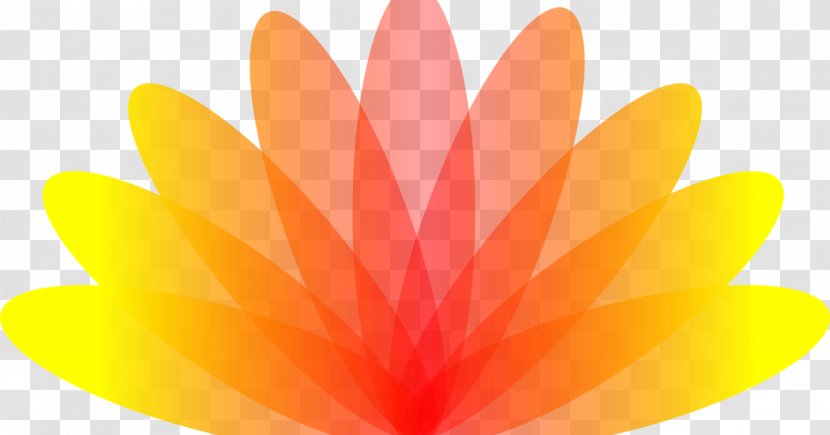 Desktop Wallpaper Computer Orange S.A. - Teal Lotus Transparent PNG