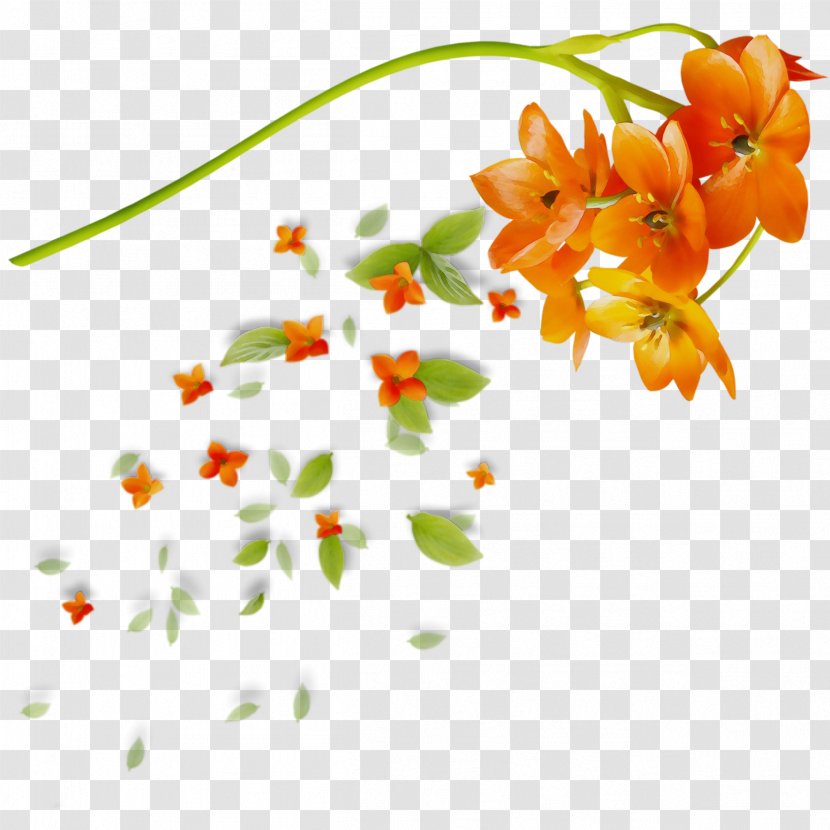 Flowers Background - Cut - Wildflower Branch Transparent PNG
