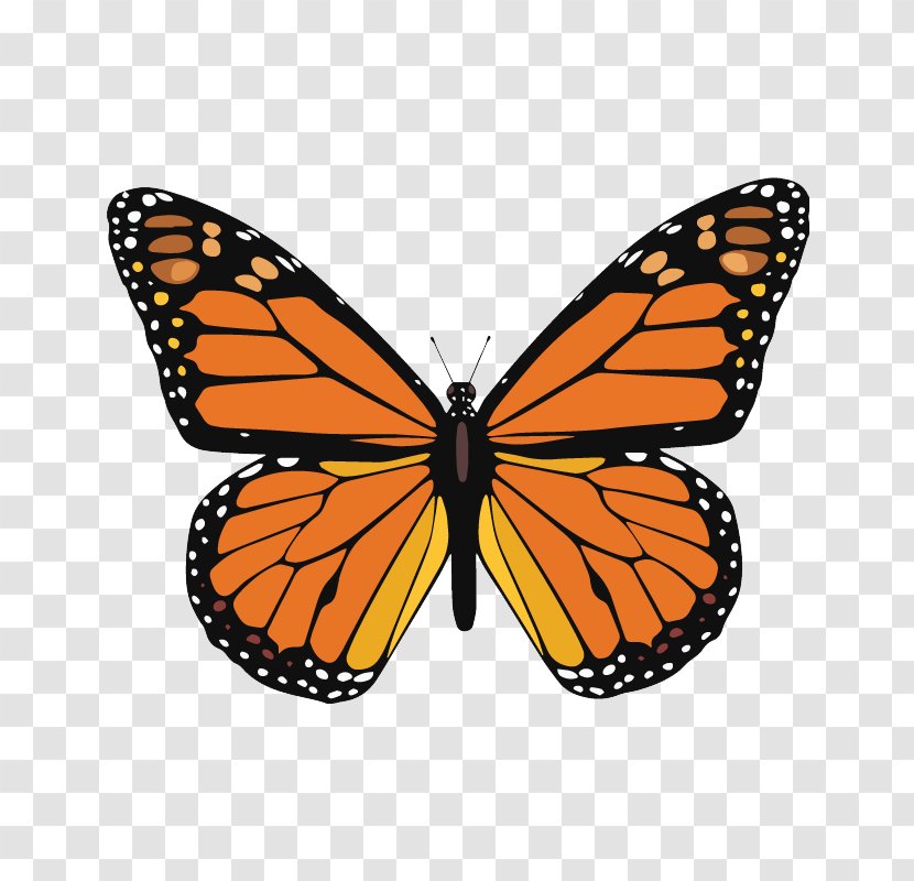 Monarch Butterfly Multiple Sclerosis Clip Art - Awareness Ribbon Transparent PNG