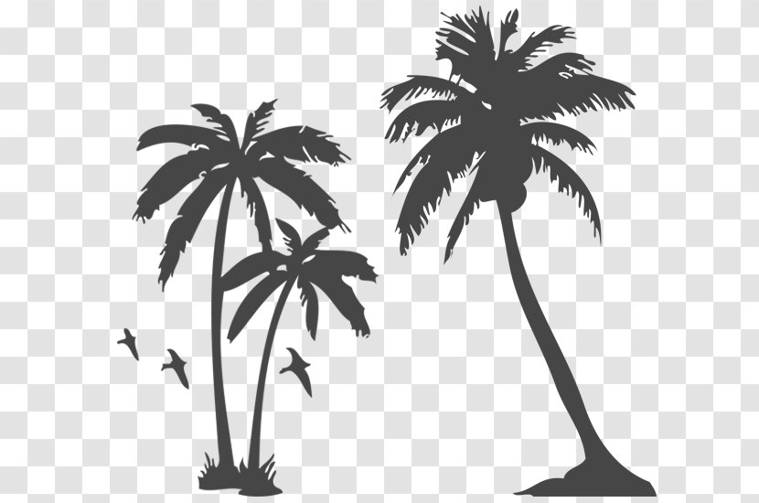 Arecaceae Tattoo Tree Sabal Palm - Monochrome Photography - TREE MURAL Transparent PNG