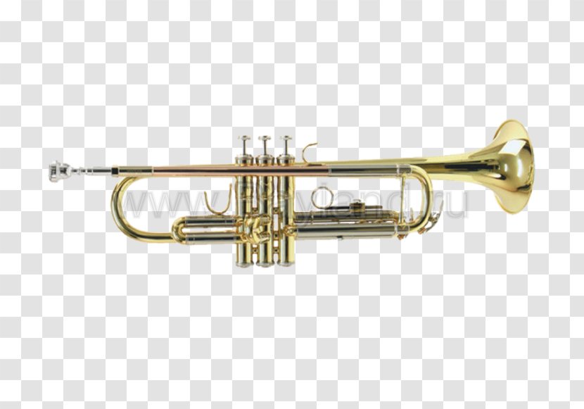 Trumpet Brass Instruments Vincent Bach Corporation Musical - Flower Transparent PNG