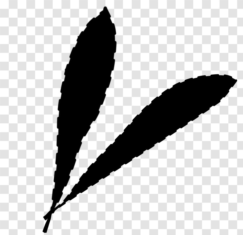 Leaf Font Line - Blackandwhite Transparent PNG