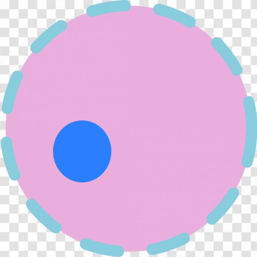 Cell Nucleus Plant Biology - Blue - Nucleolus Transparent PNG