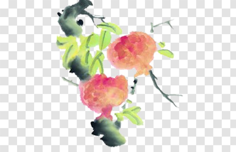 Pomegranate Ink Wash Painting Tree Fruit - Petal Transparent PNG