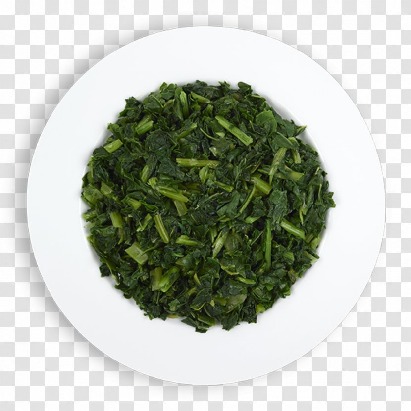 Gyokuro Nilgiri Tea Sencha Bancha Longjing - Superfood - Vegetable Transparent PNG